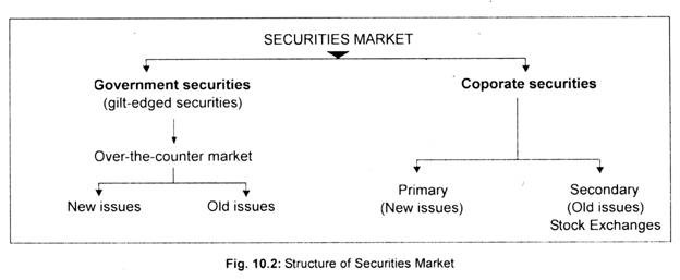 what are the structure of capital market