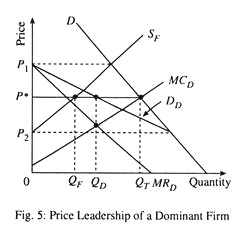 Price Leadership of a Dominant Firm