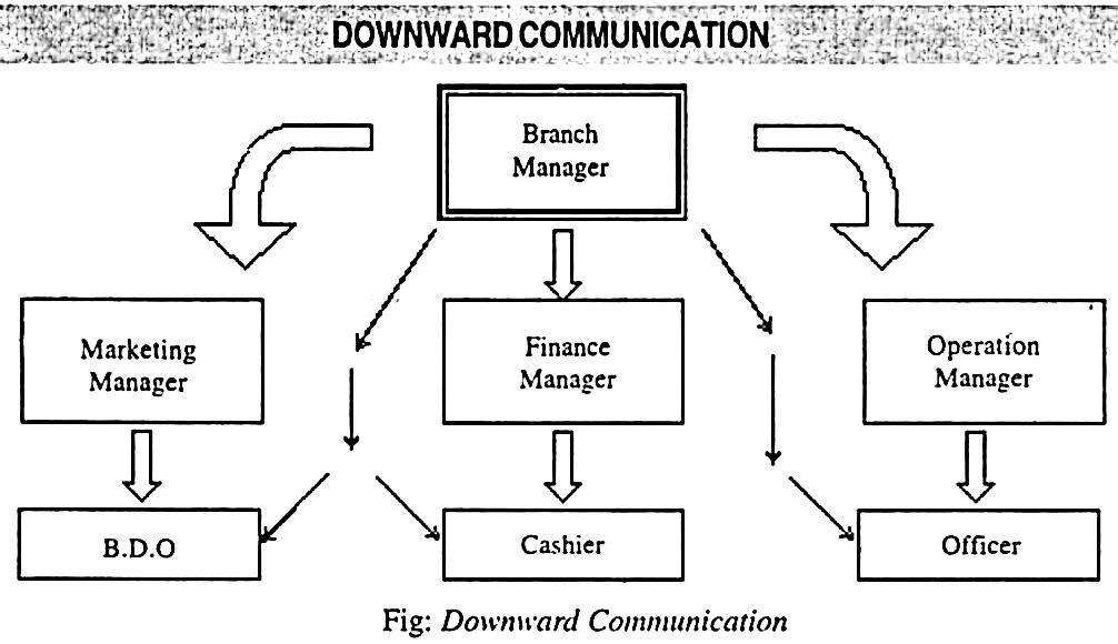 Functions Of Downward Communication In An Organization